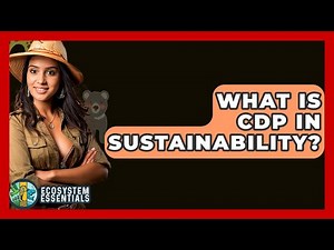 What Is CDP In Sustainability? - Ecosystem Essentials