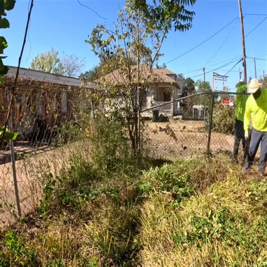 2K views · 61 reactions | We HOPE to NEVER find anything like THIS again… Part 1 | Lawn Care Services | Facebook