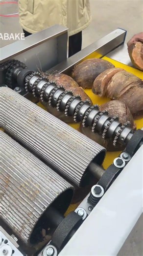 Coconut shell cutter cutting machines #coconut #coconutshell #coconutcutting #coconutcutter