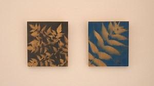 Cómo hacer cuadros con hojas y pintura