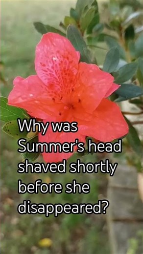 Summer Wells Still Missing