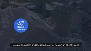 Desert Garden Ideas and Tips