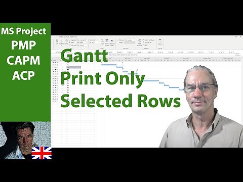 # 54 MS Project 2019 ● Print Only Selected Rows ● Advanced