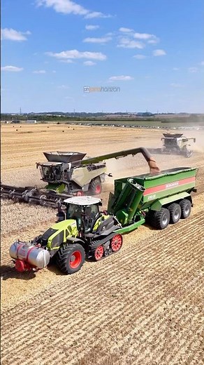 CLAAS 8900 lexion combines with MacDon headers in a field of wheat #harvest2025