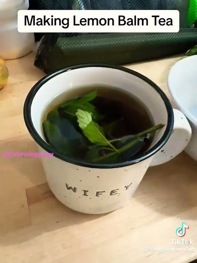 How To Make Lemon Balm Tea?