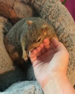 112 reactions · 5 comments | Tickle time! ❤️❤️❤️ Follow on...