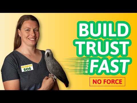 How to Build Trust With Your Parrot with Communication