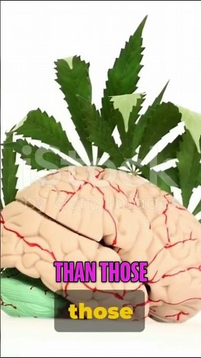 The Long Term Effects of MDMA on the Brain.