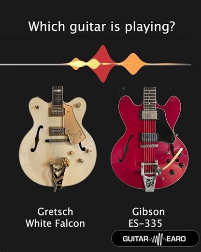 Gretsch White Falcon Vs Gibson ES-S335