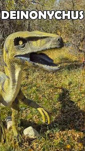 Is that it🤔🦖 #dinosaur #science #paleontology