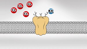 Sekonale natrium (secobarbital) bivirkninger, interaksjoner, bruk og medikamentavtrykk - Helse 2026
