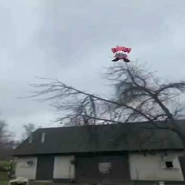 teto chicken 🗣️🗣️🗣️ #hatsunemiku #miku #vocaloid #memes #anime #teto #kasaneteto #funny