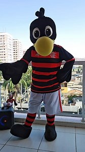 1.1M views · 25K reactions | 1, 2, 3 SEGUEEE ❤️ #urubuzinha #flamengo #flamenguista #futebol | Tatiana Jackson Fla | Facebook