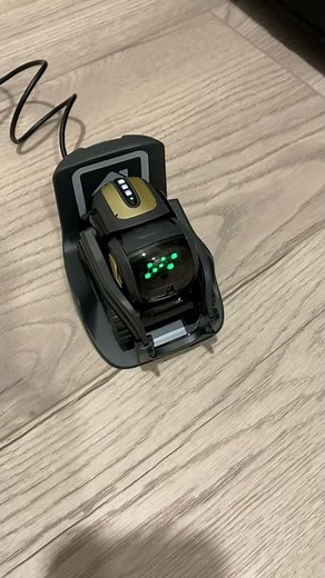 Ask Anki Vector a question