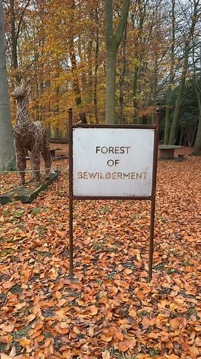 Autumn days out 😎🍁🍂🥮🐾🐕🌞 #autumnvibes🍁#autumn | Matt the Vet