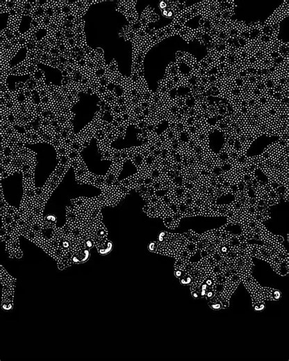 MORPHOGENESIS VIII #morphogenesis #touchdesigner #pattern #motazari #turingpattern #generativeart