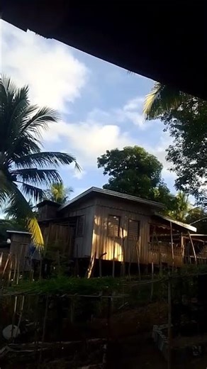 A brght morning everyone🥰❤️#highlights #views #subscribe