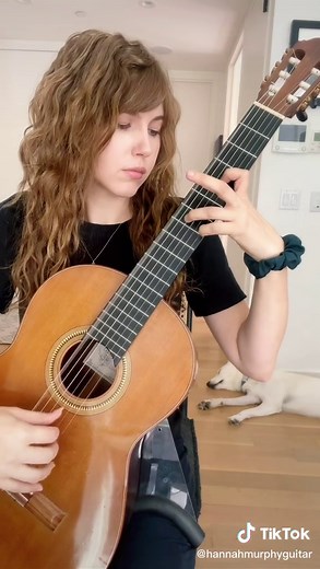 If this doesn’t wake that dog nothing will #classicguitar #guitartok