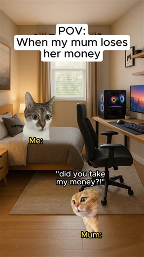 22K views · 813 reactions | Cat Memes Why Did Dad do That | MemesInternational | Facebook