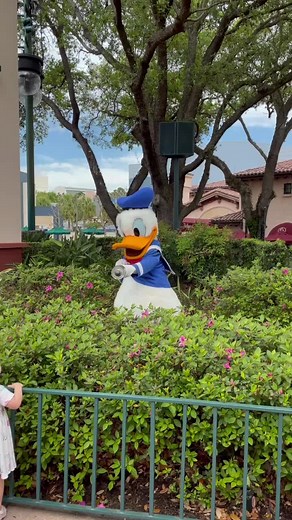 Wizarding Wands & Mickey Ears on TikTok