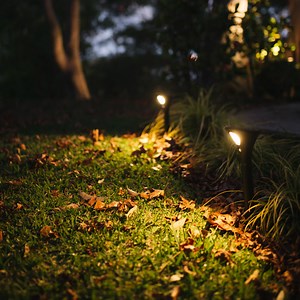 Solar Garden Path Lights with Motion Sensor | 1LED - 2 Pack ELLIPSIS