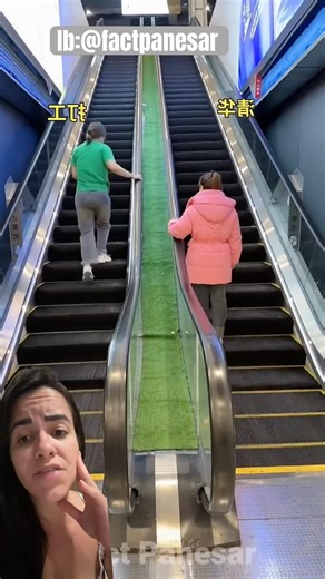 Subindo a ESCADA ao CONTRÁRIO🪜 😂 FactPanesar #shorts