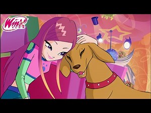 Winx Club Season 4 Episode 12 "The Pets' Pursuit" Nickelodeon | Nick HD