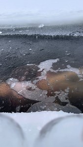 🎱🎱🎱 #icequeen #galkina_anechka #funny #frozen #entertainment | Галкина Анечка