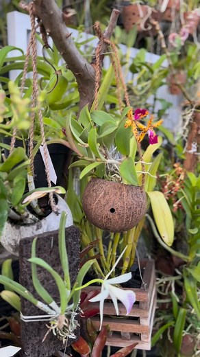 129K views · 2.3K reactions | Good morning everyone | Leni March | Facebook