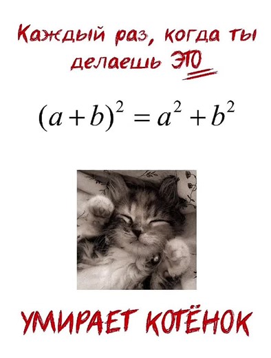Мемы о математике и алгебре для учителей
