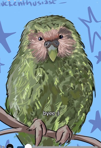 Exploring the Kakapo: The World's Largest Flightless Parrot