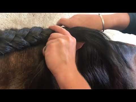 How to braid the long mane - tutorial braiding/plaiting video