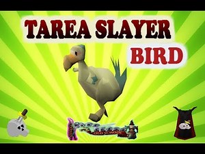 Tarea Slayer Bird - Runescape en Español