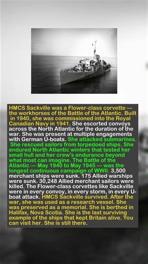 The Unsung Workhorse of the Atlantic: The Tiny Corvette That Protected 25,000 Ships