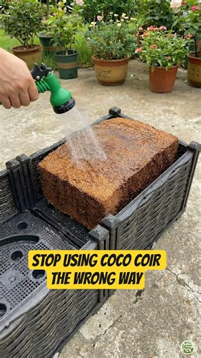 Stop Using Coco Coir the Wrong Way #shorts