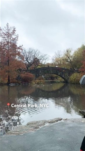 Autumn Magic at Gapstow Bridge 🍁 Raw video | Central Park NYC Fall Walk (4K)