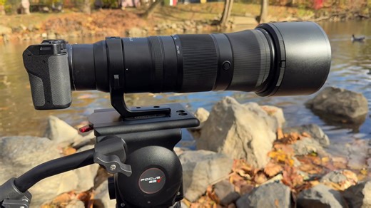 A beautiful fall day filming wood ducks while testing out the new Nikon ZR cinema camera | Harry Collins Photography