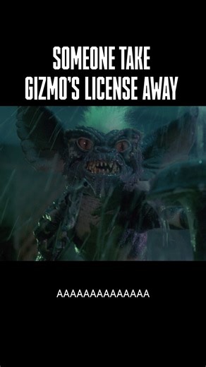 Gizmo's so cute; it (almost) makes up for his bad driving. #Gremlins is streaming on the SYFY app. | SYFY