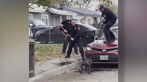 Three victims injured in deadly dog attack released from hospital