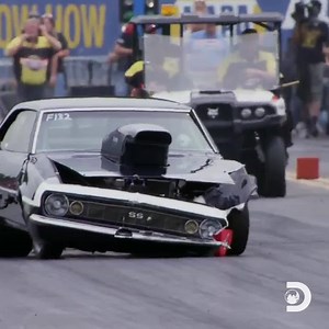 178K views · 186 reactions | Amazing stories from around the globe, right here on Discovery. | Discovery | Facebook