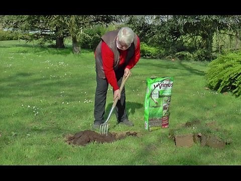HOW TO QUICKLY AND EFFECTIVELY REPAIR A DAMAGED LAWN