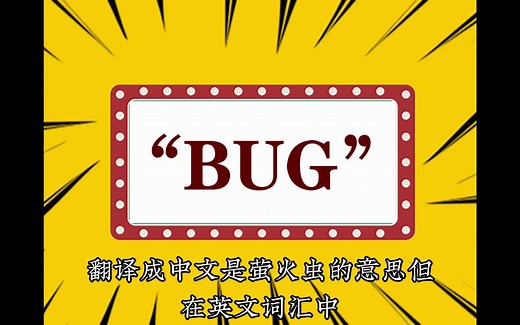 “BUG”什么意思？