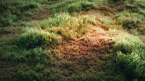 Blender Tutorial: How to make a grass field?