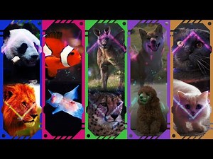 実写版ボカロテクノメドレー2（生き物の歌）