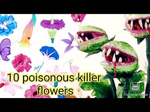 Most Poisonous flowers in the world|top ten|killer plants.