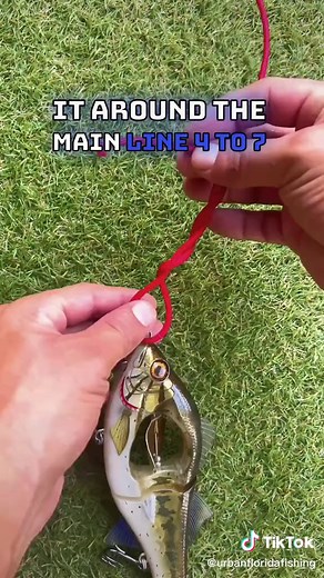 How to tie the improved clinch knot. For this tutorial im using the prop duster from @Chasebaits_usa and 550 cord keep in mind its hard to tie a knok with 550 cord but im using it so you can see better what im doing! #howto #tutorial #fishinghowto #urbanfloridafishing #fishingfyp #fishingknot #improvedclinchknot #fishinghowto #howtotiefishingknots #propduster #chasebaitsusa #fishingtutorial