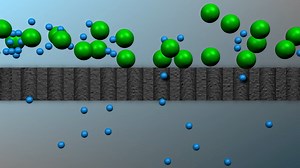 Bioprocessing Part 3_ Purification