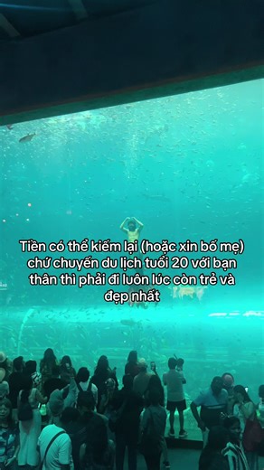 Chúng ta chỉ có một tuổi 20 trong đời #TourkhamphathuycungPhuQUOC #GreenCreator #VinWonders #dulich #vairal đến thuỷ cung phú quốc cùng mình nha