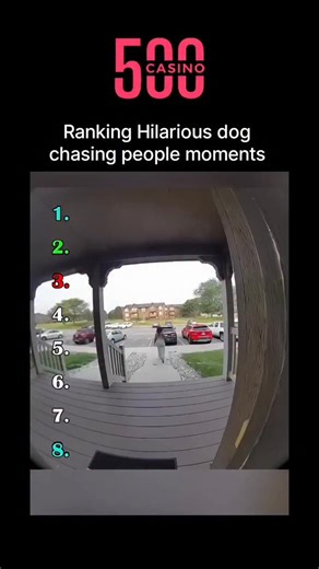 The sarcasm world on Instagram: "A dog chasing something is that it’s not just cute or funny—it’s actually an instinctive behavior rooted in their hunting and herding ancestry. Even domestic dogs retain the “prey drive” from their wild ancestors, which is why they instinctively chase moving objects like balls, squirrels, or even their own tails. This behavior is also why fetch is such a popular game—dogs get the thrill of the chase and the satisfaction of “capturing” the target, which releases d