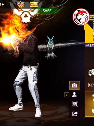 How to Safely Manage Your Dolphin Account